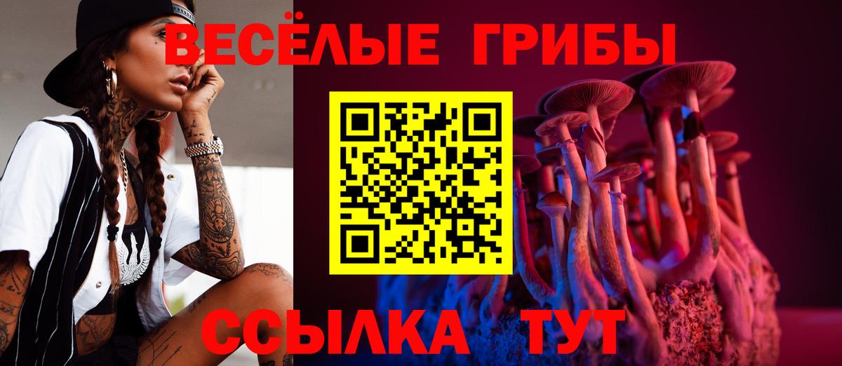 Псилоцибиновые грибы Cubensis Александров